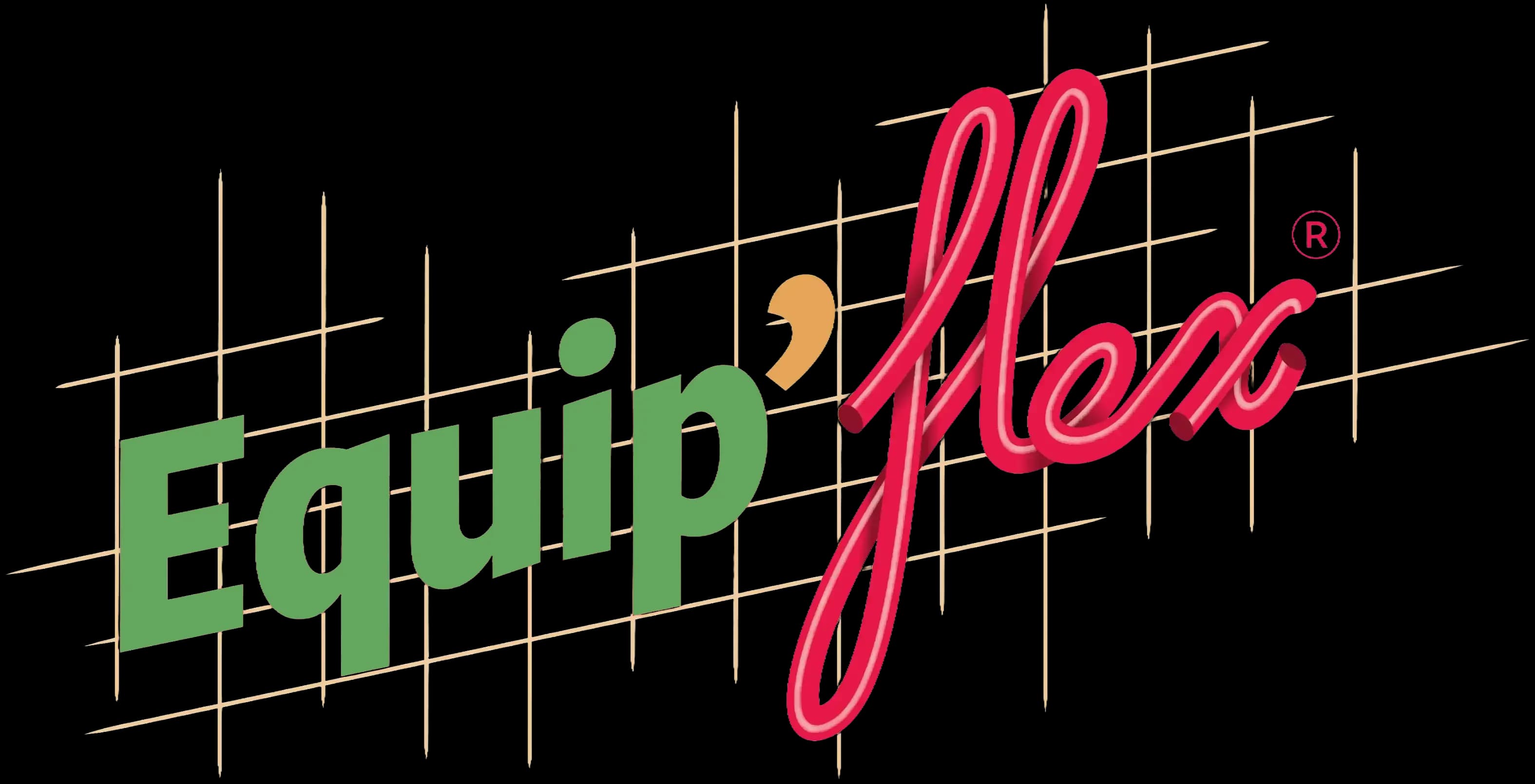 Logo Equip'Flex basse pression